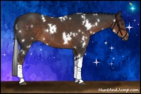 Horse Color:White Spotted Liver Chestnut Tobiano 