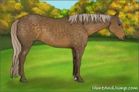 Horse Color:Chocolate Palomino Sabino 