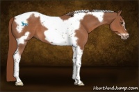 Horse Color:Chestnut Tobiano Frame 