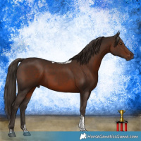 Horse Color:Liver Chestnut Tobiano 