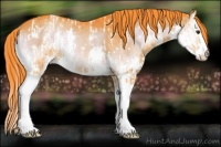 Horse Color:Watercolor Liver Red Onyx Splash Appaloosa Rabicano and Watercolor Liver Red Onyx Splash Rabicano