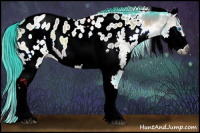 Horse Color:Gray Watercolor White Spotted Bay Onyx Splash Appaloosa 