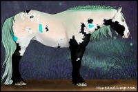 Horse Color:Watercolor Amber Champagne Onyx Splash Appaloosa 