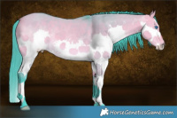 Horse Color:Watercolor Buckskin Dun Splash
