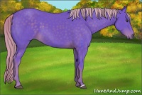 Horse Color:Watercolor Chocolate Palomino 