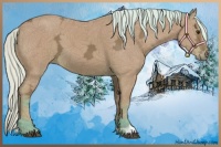 Horse Color:Watercolor Silver Bay Ice 