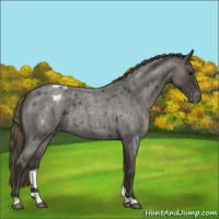 Horse Color:Smoky Blue Roan Varnish 