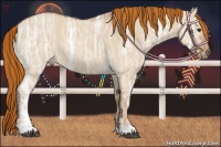 Horse Color:Painted Red Dun Ice Rabicano 