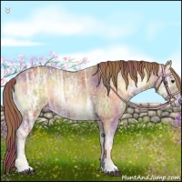 Horse Color:Nacre Red Onyx Ice Rabicano 