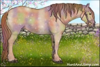 Horse Color:Nacre Red Dun