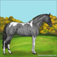 Horse Color:Blue Roan Tobiano Varnish 