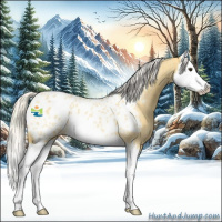 Horse Color:Silver Buckskin Roan Splash Near Leopard 