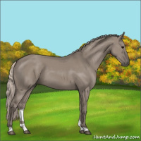 Horse Color:Silver Grullo 
