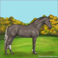 Horse Color:Silver Black 