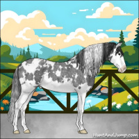 Horse Color:White Spotted Blue Roan Splash Snowflake Varnish 