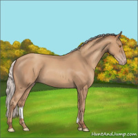 Horse Color:Silver Classic Champagne