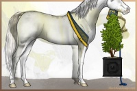 Horse Color:Chocolate Palomino Pearl Onyx Mushroom Sabino Splash Frame Brindle 