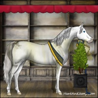 Horse Color:Chocolate Palomino Onyx Mushroom Sabino Splash 