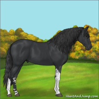 Horse Color:Black Tobiano