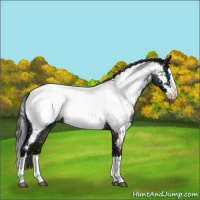 Horse Color:Midnight Blue Roan Splash Appaloosa Rabicano 