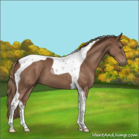 Horse Color:Liver Chestnut Tobiano 