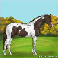 Horse Color:Liver Chestnut Tobiano