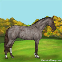 Horse Color:Liver Red Roan 