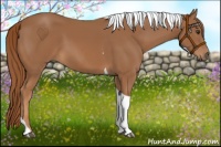 Horse Color:Chestnut Tobiano