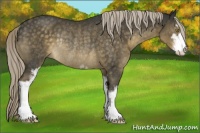Horse Color:Chocolate Palomino Mushroom Sabino Rabicano 