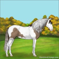 Horse Color:Liver Red Dun Splash Tobiano 