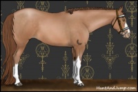 Horse Color:Brown Pearl 