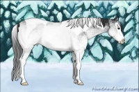 Horse Color:White Spotted Blue Roan Splash Tobiano 