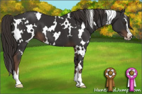 Horse Color:White Spotted Liver Chestnut Sabino