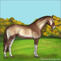 Horse Color:Red Onyx 