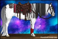 Horse Color:White Spotted Brown Splash Rabicano 