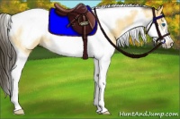 Horse Color:Buckskin Roan Splash Tobiano Frame Rabicano 