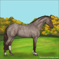 Horse Color:Liver Red Roan 
