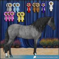 Horse Color:Blue Roan Rabicano 
