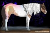 Horse Color:Sable Champagne Tobiano Rabicano