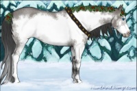 Horse Color:Grullo Roan Sabino Splash Frame 