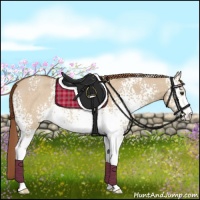 Horse Color:White Spotted Red Dun Sabino Rabicano 