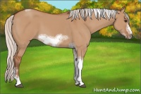 Horse Color:Silver Bay Dun Sabino Tobiano Frame Rabicano 