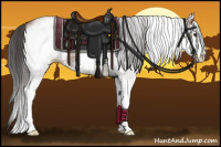 Horse Color:White Spotted Bay Splash 