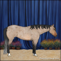Horse Color:Bay Roan Dun Brindle
