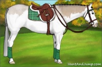 Horse Color:Bay Roan Dun Splash Brindle 