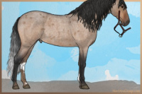 Horse Color:Bay Roan Dun Rabicano Brindle