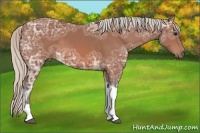 Horse Color:Silver Bay Ice Tobiano