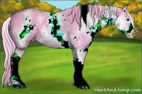Horse Color:Watercolor White Spotted Black