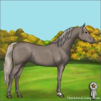 Horse Color:Silver Grullo Rabicano 