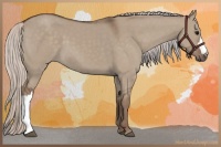 Horse Color:Silver Grullo 